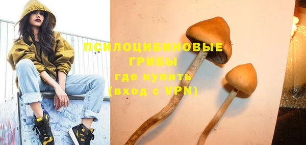 винт Аркадак