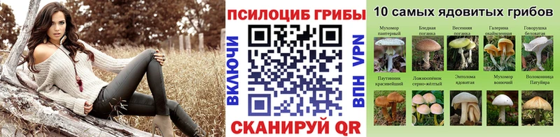 Галлюциногенные грибы Magic Shrooms  Опочка 