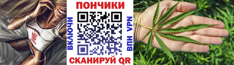 Шишки марихуана Bruce Banner  как найти закладки  Опочка 